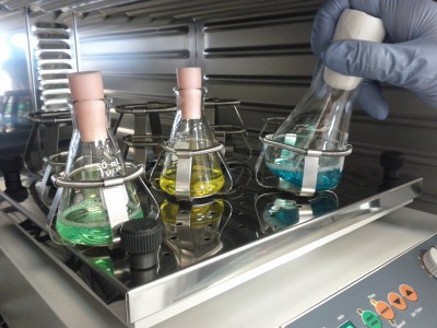 Laboratorie 1