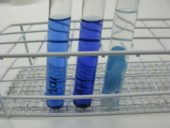 Laboratorierör med blå vätska i ställ