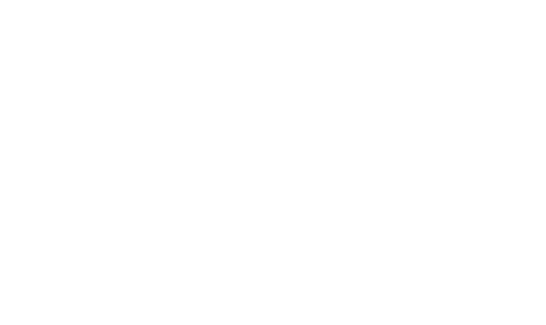 Region Kronoberg_logo_Vit Liggande